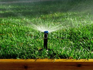 Low Price and High Quality Sprinkler System for Greenhouse Quality Sprinkler System for Greenhouse